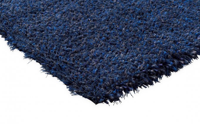 Brink and Campman Sprout Cobalt Eclipse 013308