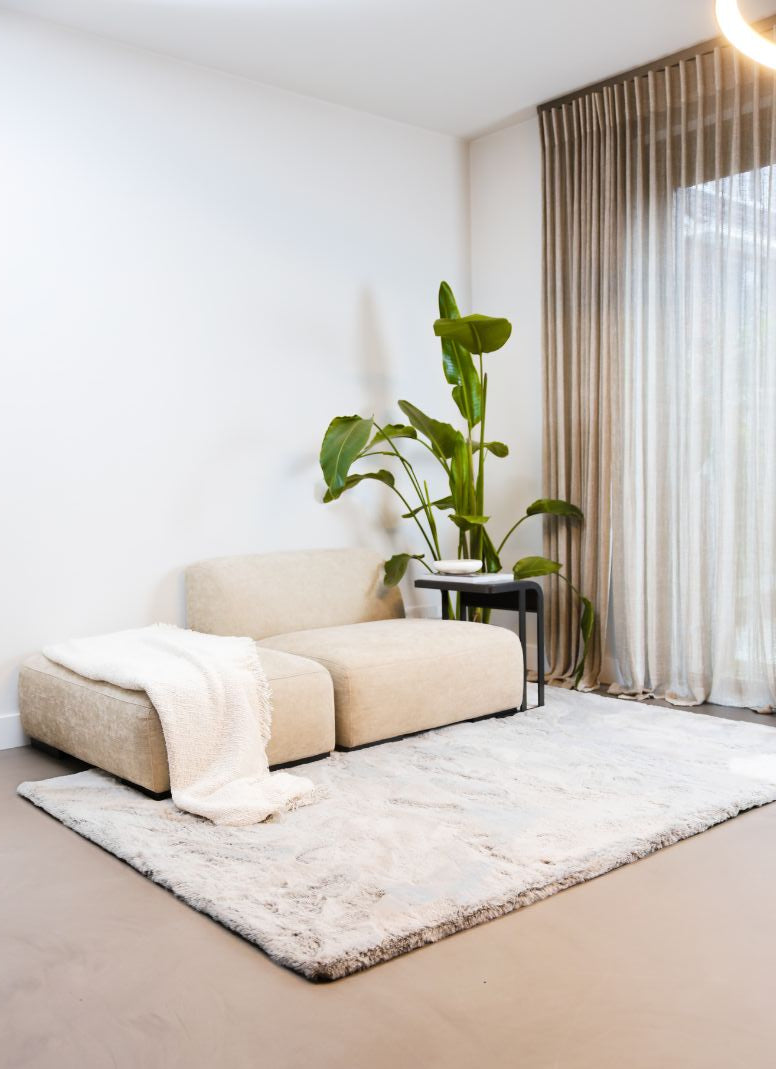 Karpet Raccoon 13