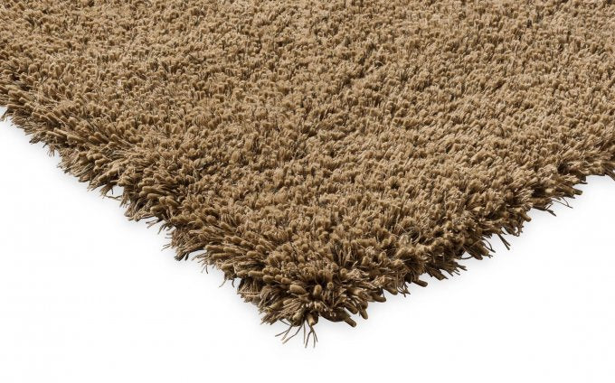 Brink and Campman Sprout Dusty Ground 013319