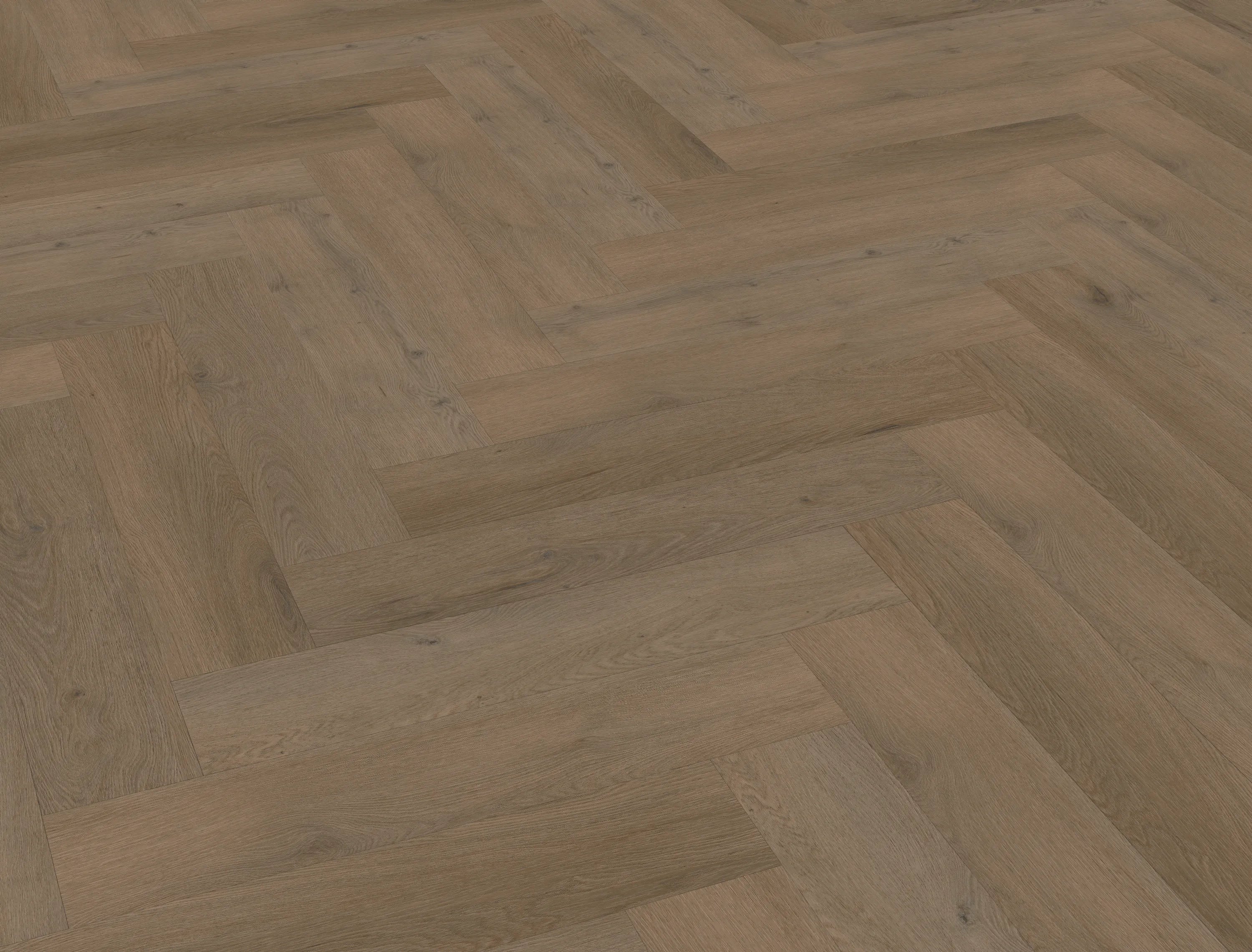 Attico visgraat XL 84 - plak