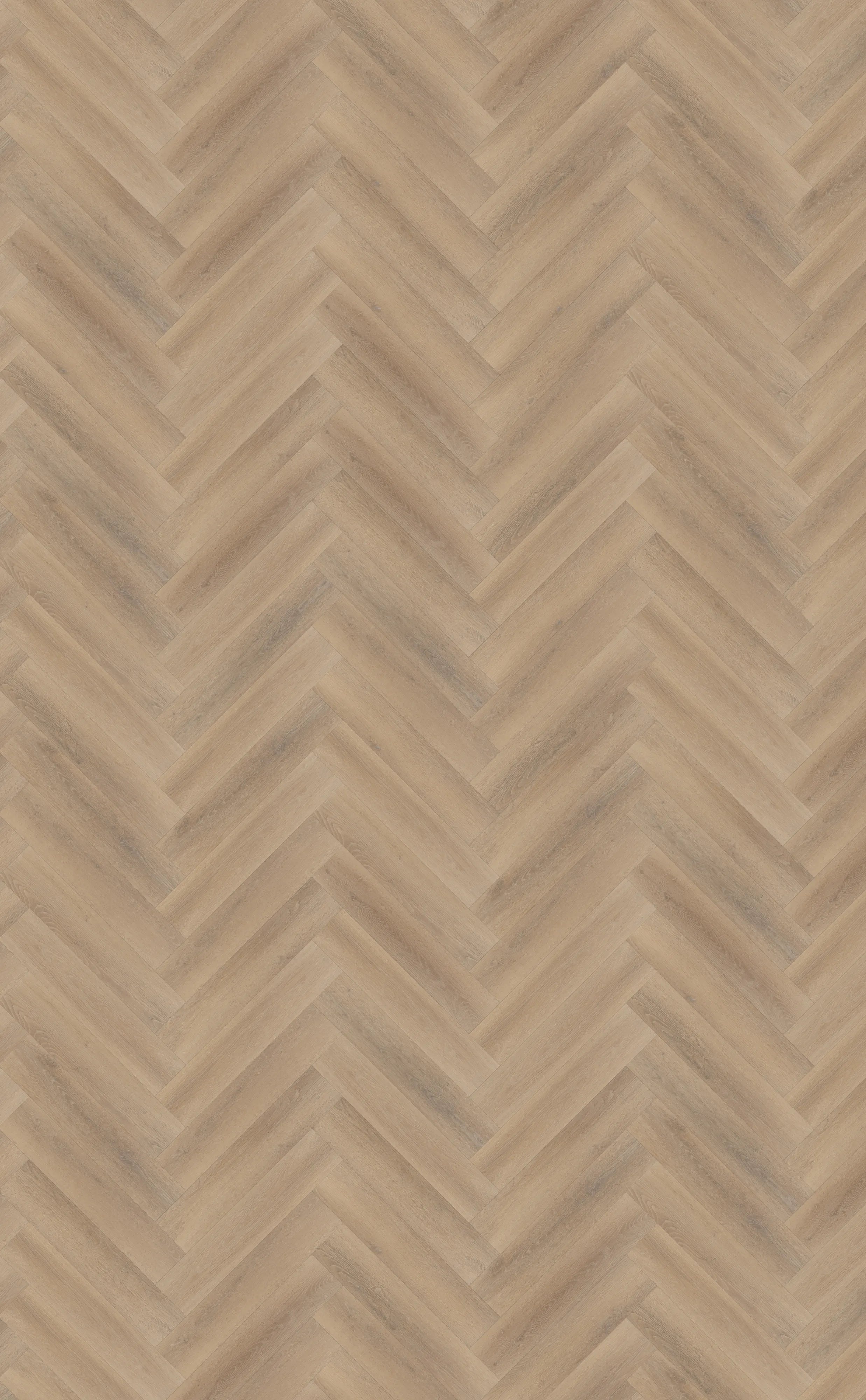 Palazzo visgraat XL 76 - Rigid click