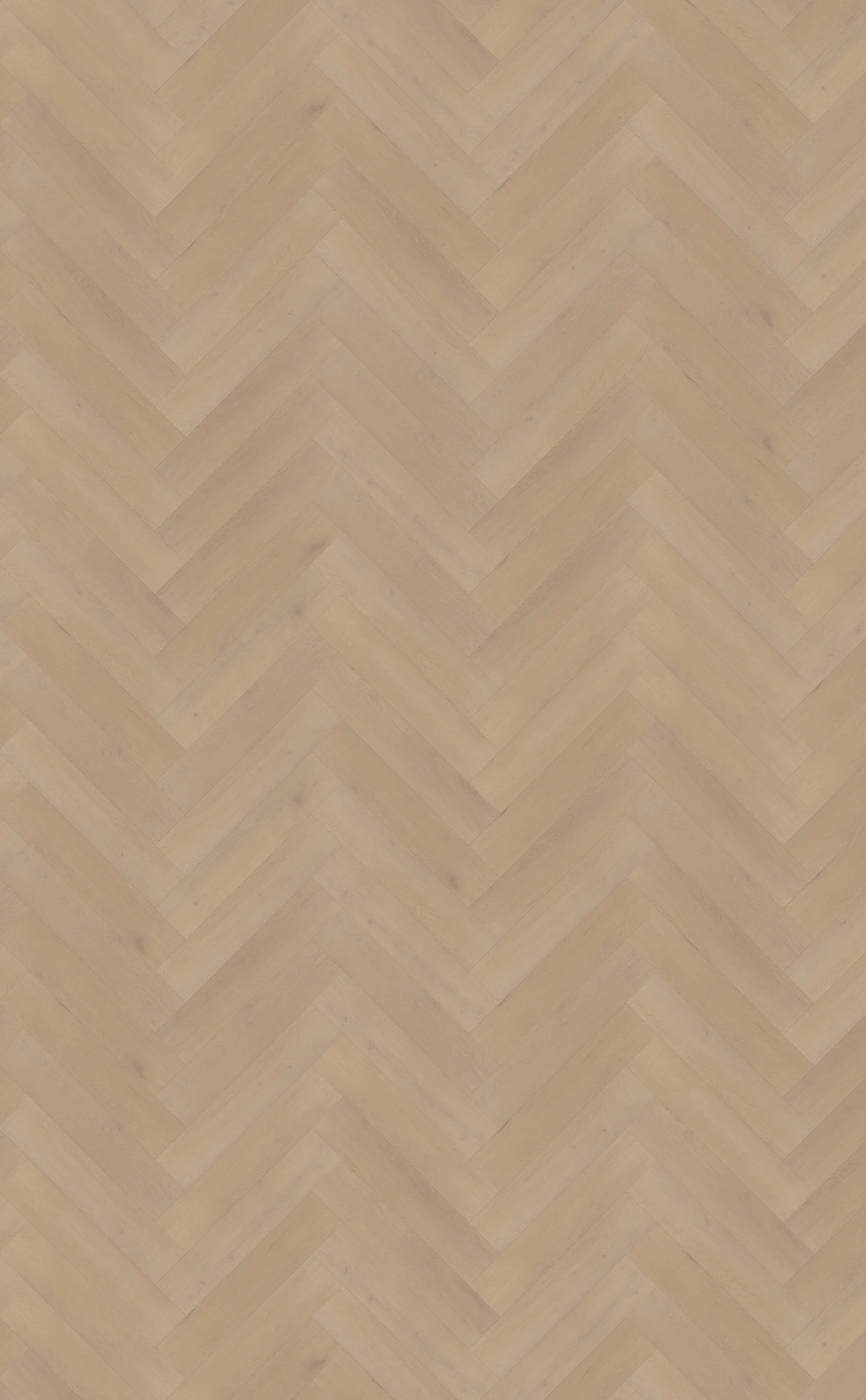 Palazzo visgraat XL 77 - Rigid click