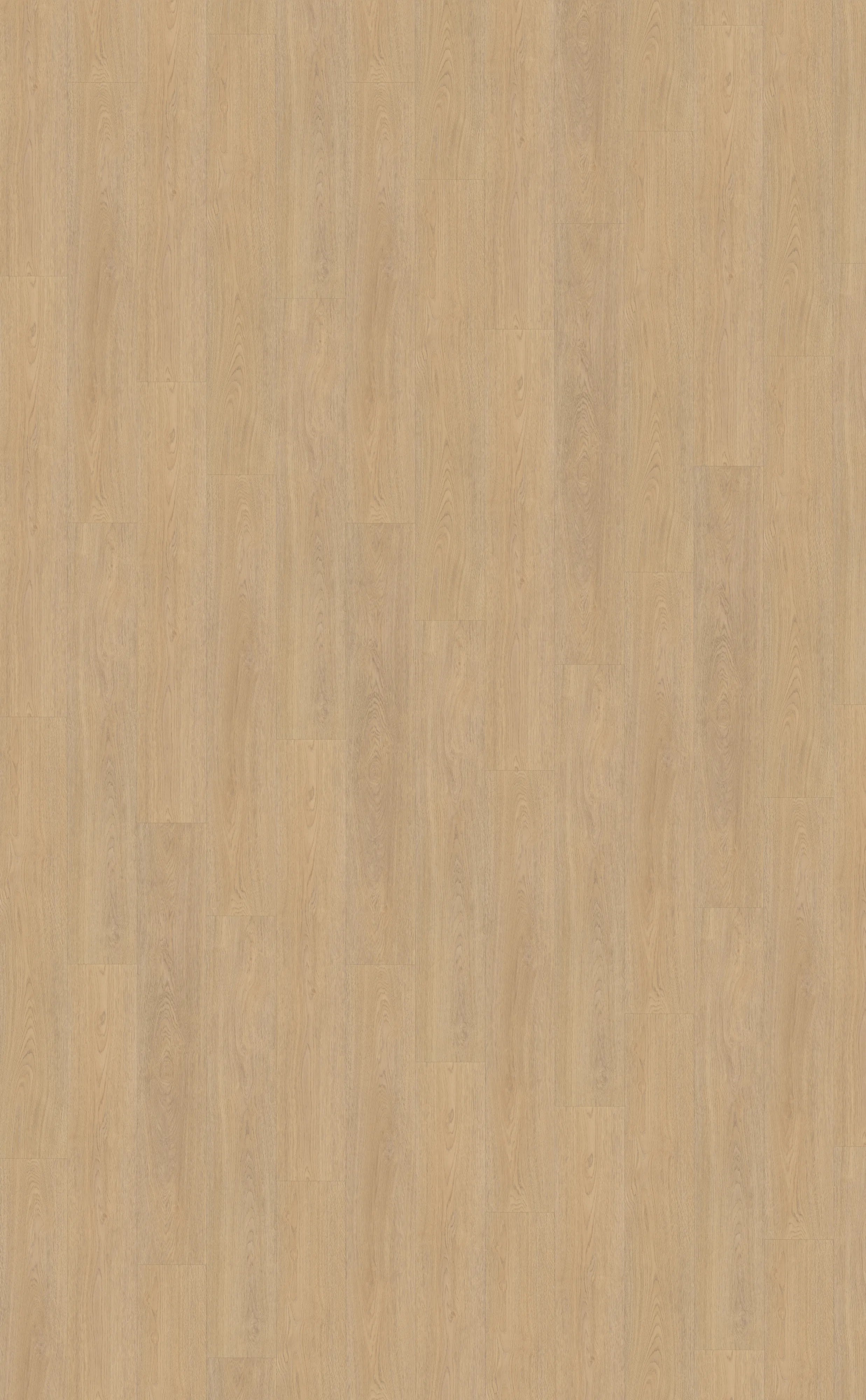 Terreno rechte strook 610 - Rigid click