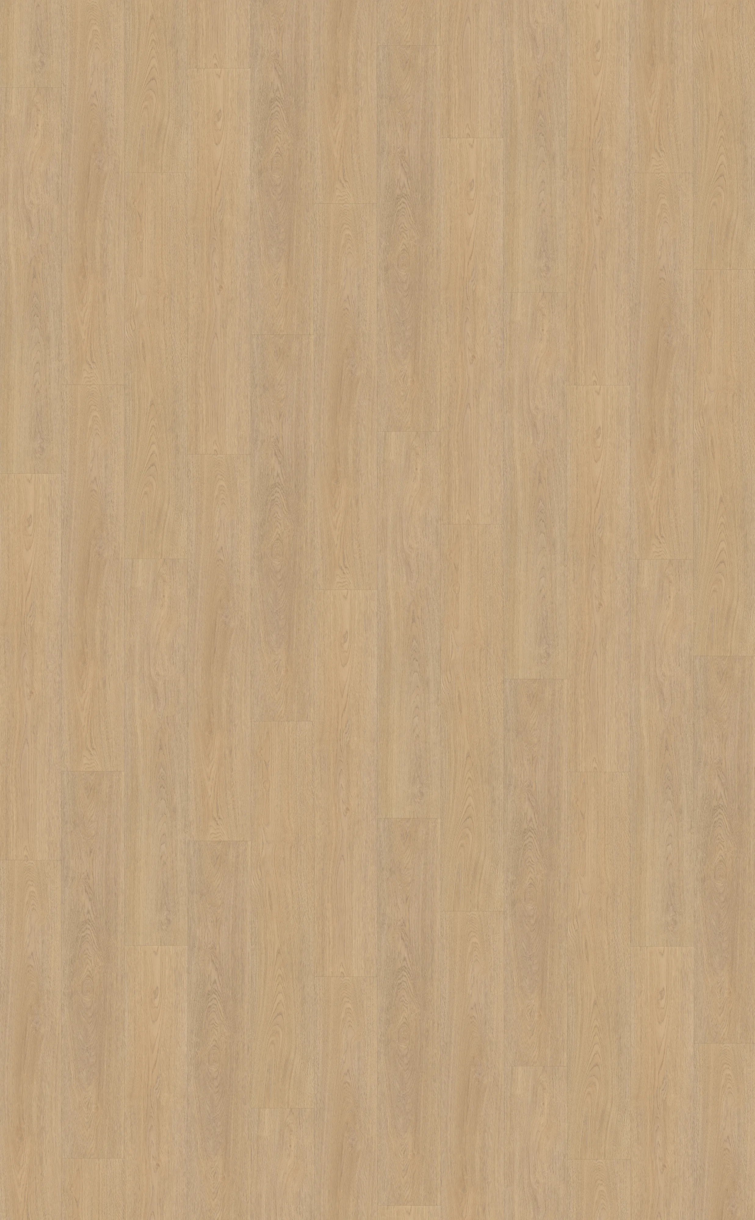 Terreno rechte strook 610 - plak