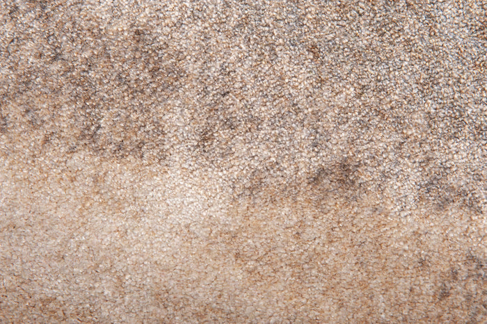BrushOvale13-04ChalkBeige_700x