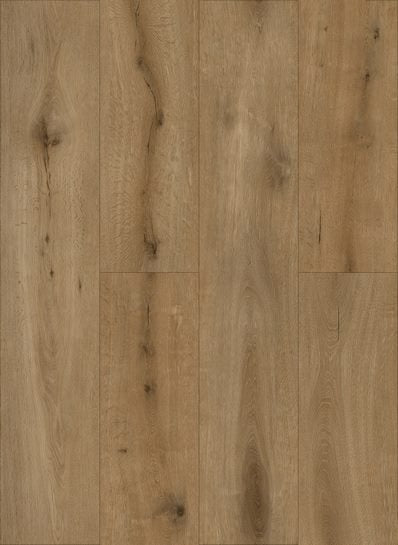 Callisto%204100-398x545