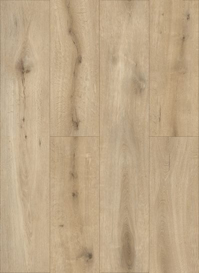 Callisto%204101-398x545
