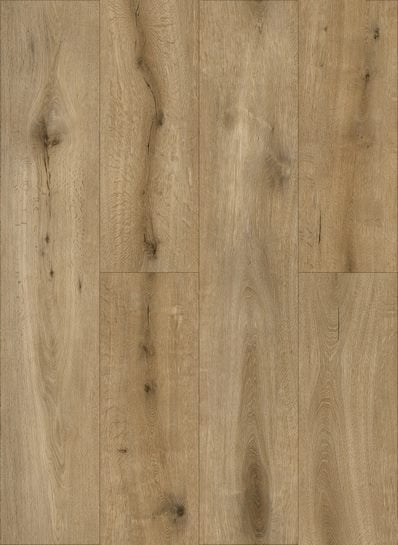 Callisto%204102-398x545