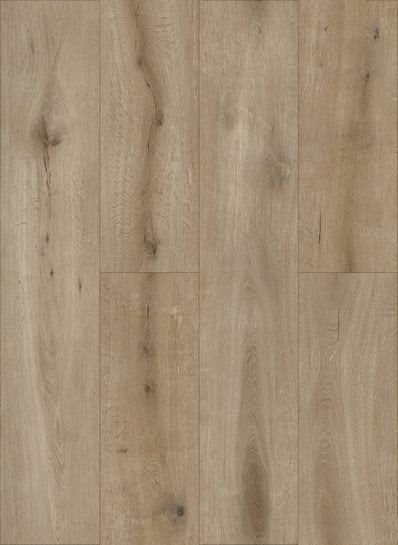 Callisto%204103-398x545
