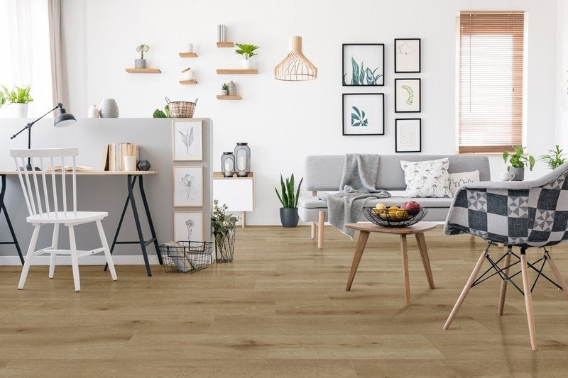 Callisto%204103%20interieur