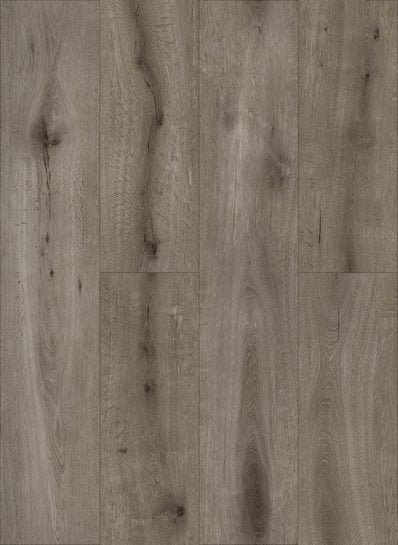 Callisto%204105-398x545