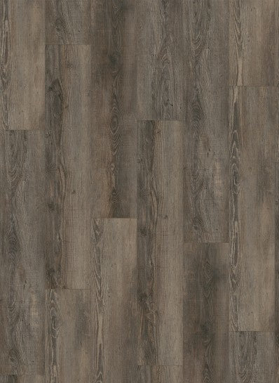 City%20-%204605-398x545