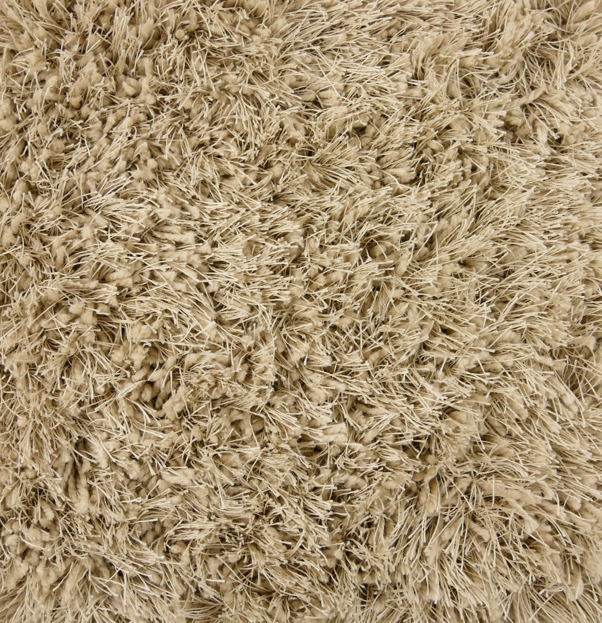 karpet Everest 2000