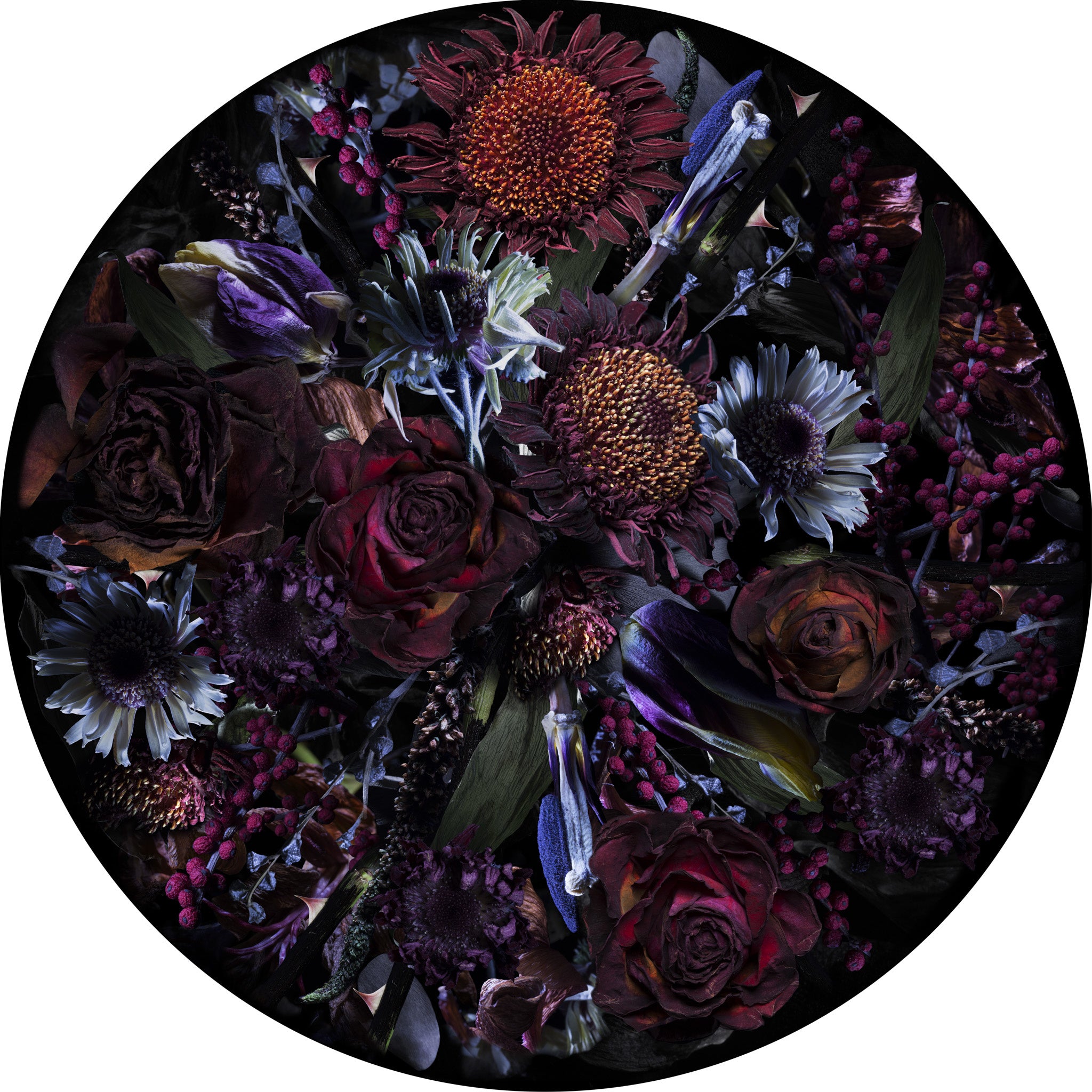 Marcel_Wanders_Fools_Paradise_Rug_250round