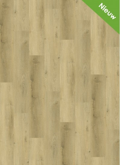 Vario%204904%20-%205904-398x545