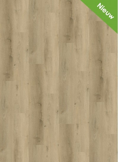Vario%204905%20-%205905-398x545