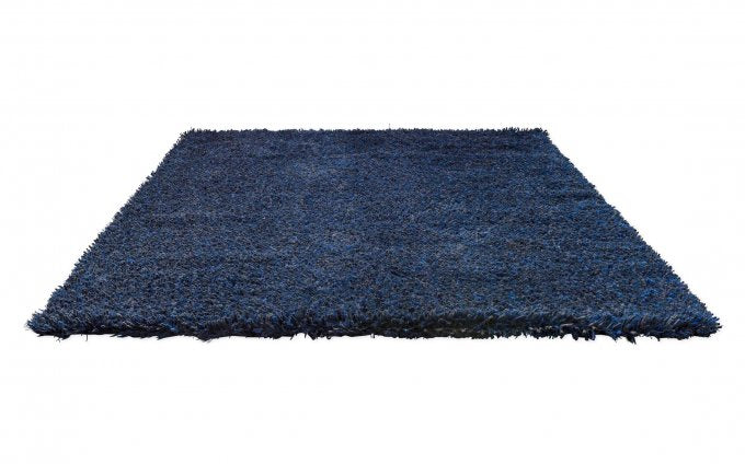 Brink and Campman Sprout Cobalt Eclipse 013308