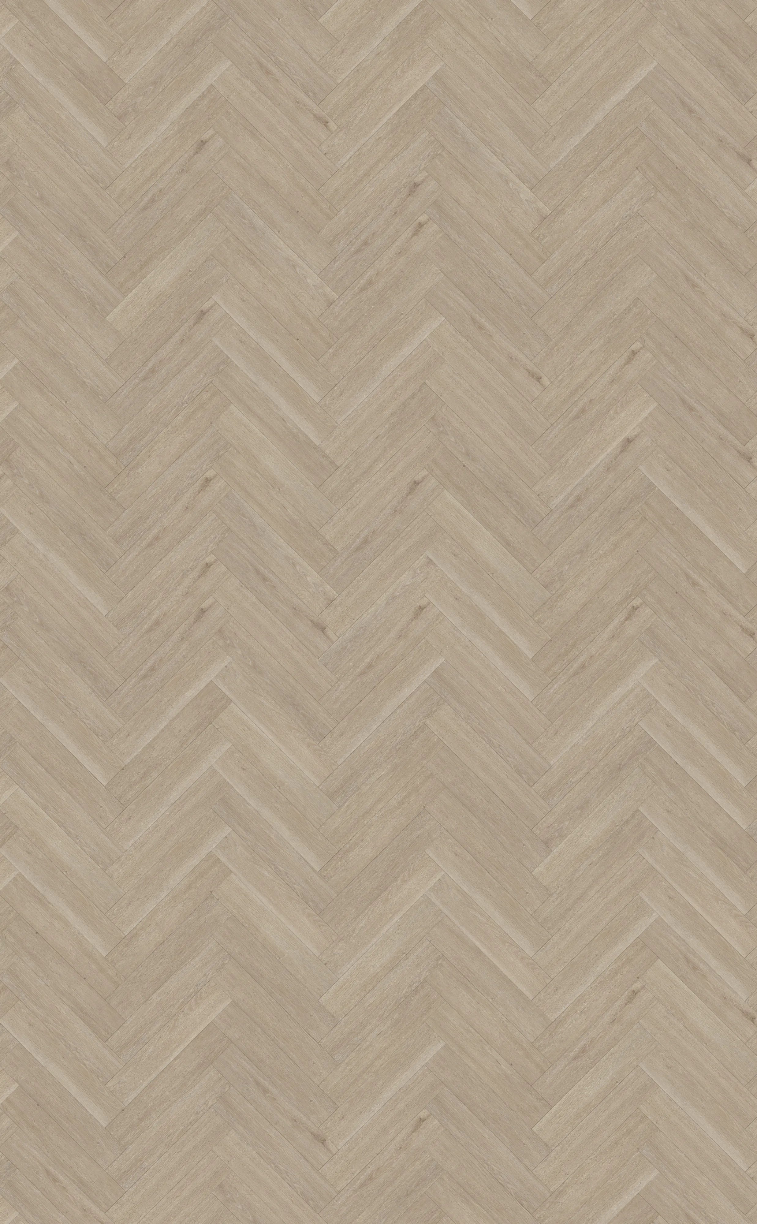 Rustico visgraat 60 - plak