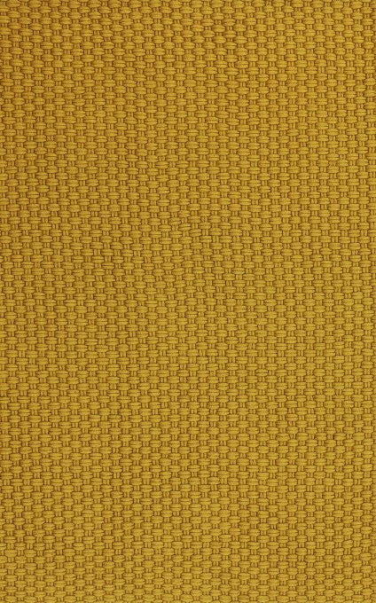 Lace Golden Mustard 497006