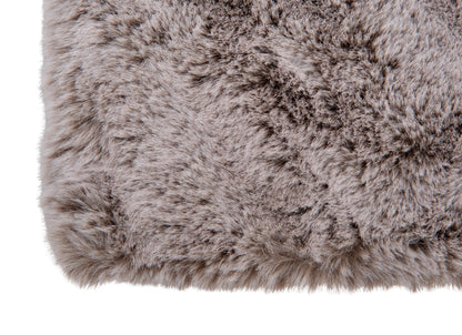 Karpet Raccoon 15