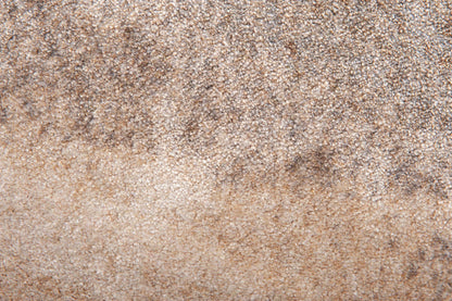 BrushOvale13-04ChalkBeige_700x