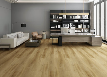 Country%204303%20interieur