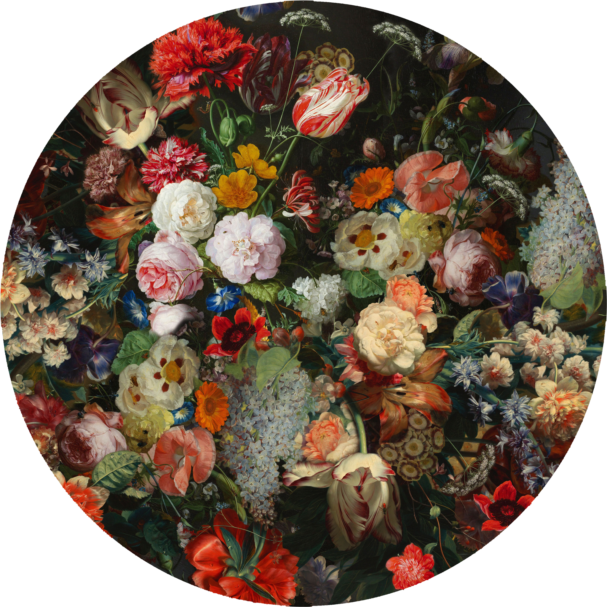 Eden-Queen-Rug-15002958-2560x2560-5