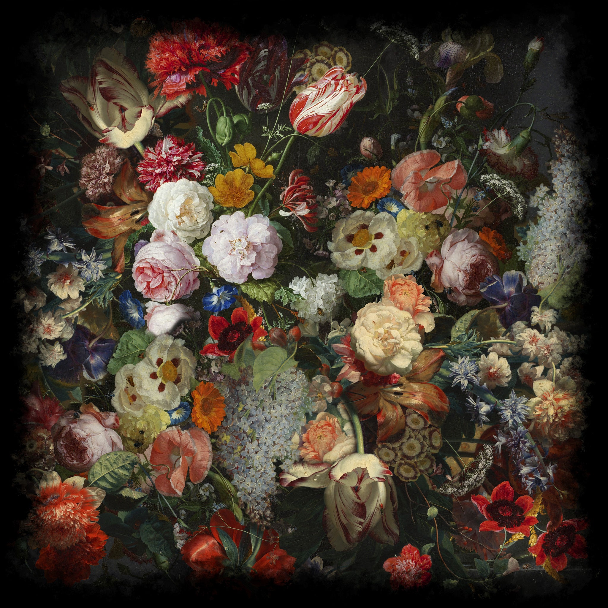Marcel_Wanders_Eden_Queen_Rug_250x250-4