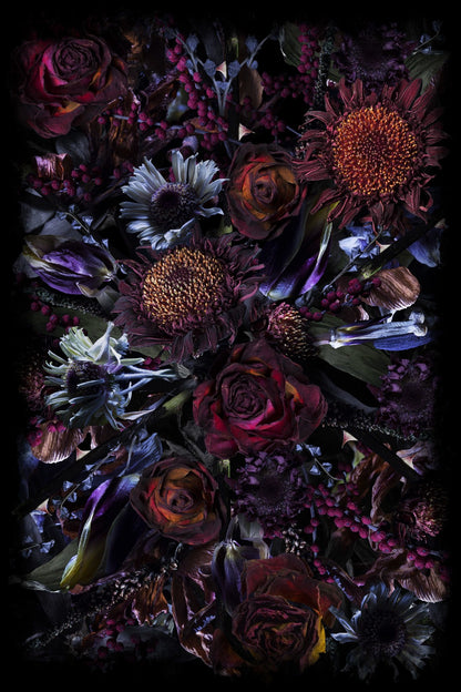 Marcel_Wanders_Fools_Paradise_Rug_200x300-e1464360189446