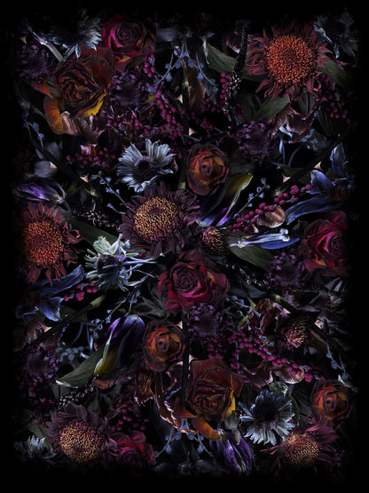 Marcel_Wanders_Fools_Paradise_Rug_300x400-e1464351566962