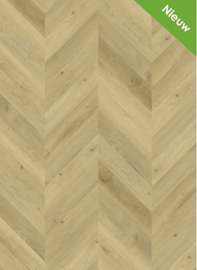 Vario%20Special%203804%20Hongaarse%20punt-398x545