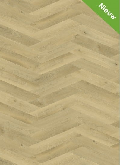 Vario%20Special%203804%20Weense%20punt-398x545