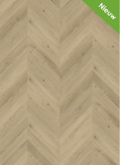 Vario%20Special%203805%20Hongaarse%20punt-398x545